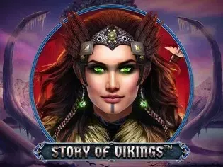 Story Of Vikings screenshot